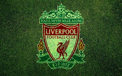 顺发体育动态-伤病名单没有她真是万幸