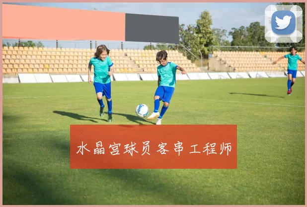 水晶宫球员客串工程师