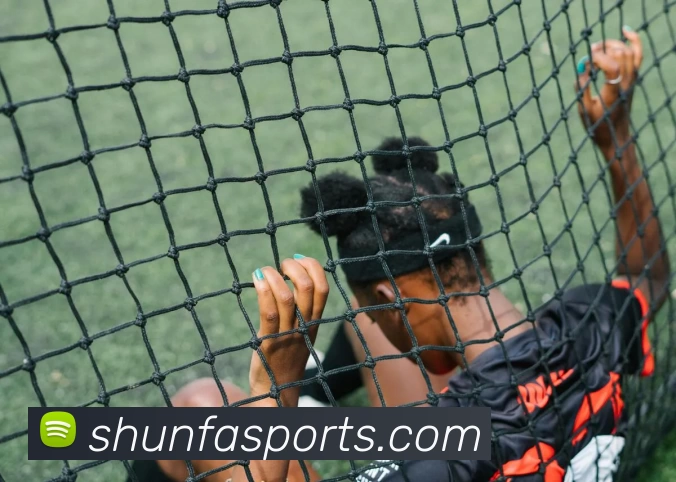 顺发体育官网平台生态图